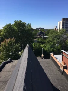 Hyde Park façade restoration — photo 23