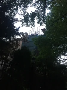 Hyde Park façade restoration — photo 24