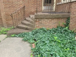 South Loop front steps limestone rebuild, Chicago — photo 5